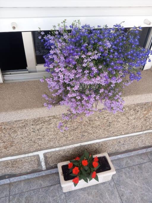 Apartamento En San Vicente De 格罗韦 外观 照片